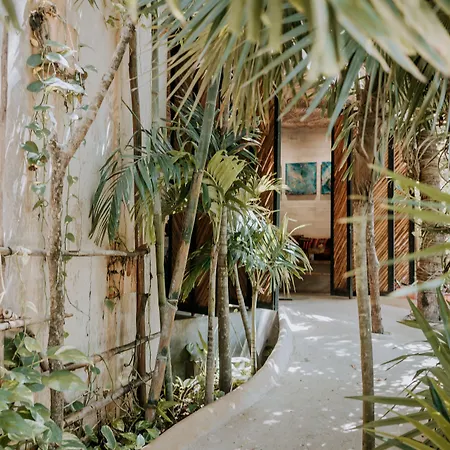 Orchid House Tulum Jungle
