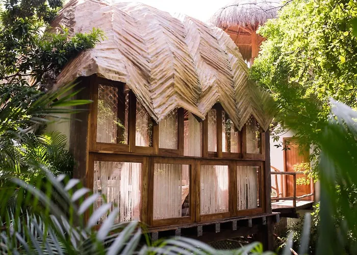 Hotel Orchid House Jungle