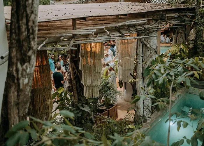 Hotel Orchid House Jungle 5*