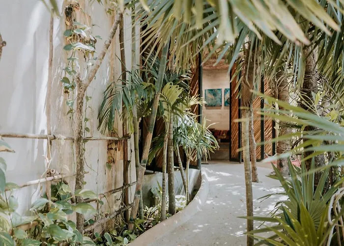 Orchid House Jungle 5*
