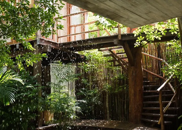 Orchid House Jungle