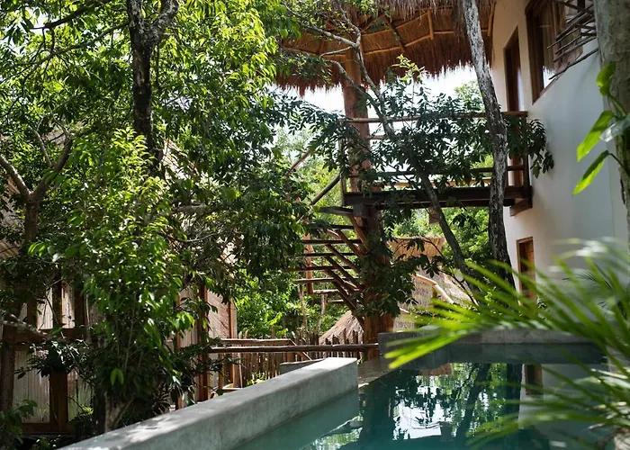 Orchid House Jungle 5*
