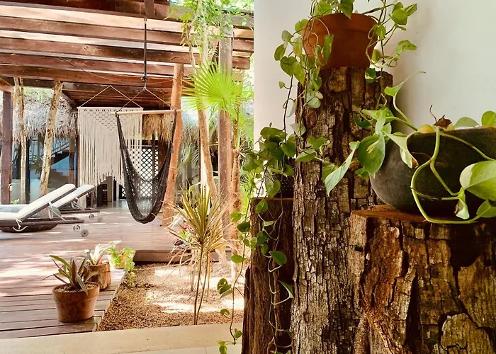 Hotel Orchid House Jungle Tulum Pueblo