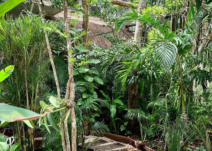 Hotel Orchid House Jungle Tulum Pueblo