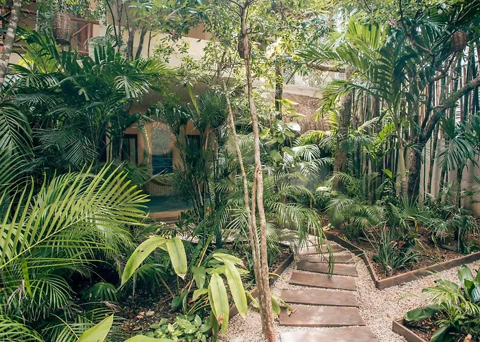 Orchid House Jungle Hotel Tulum Pueblo