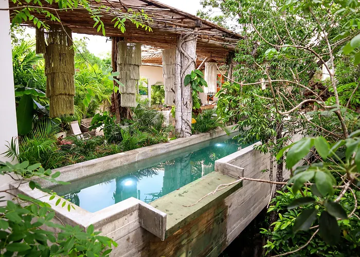 Hotel Orchid House Jungle 5*