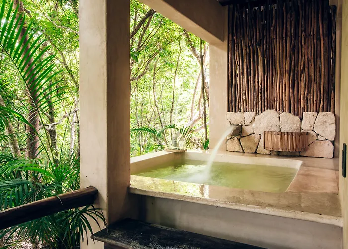 Orchid House Jungle Tulum