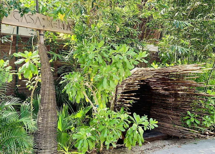 Hotel Orchid House Jungle