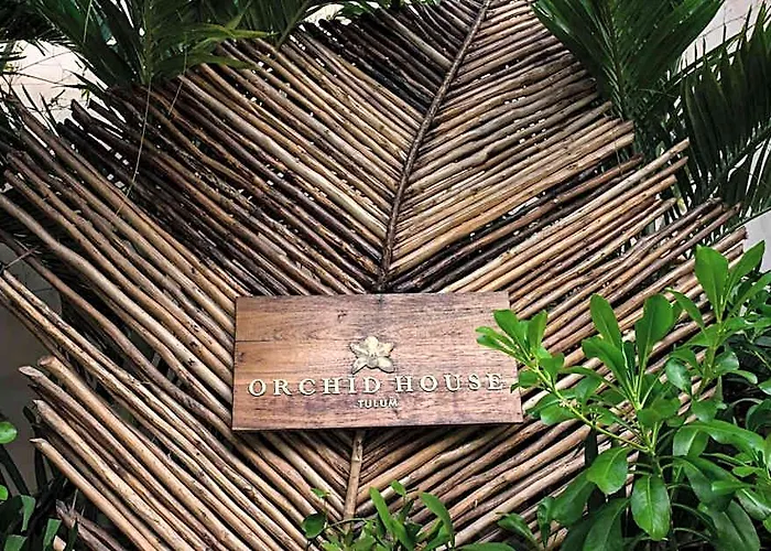 Orchid House Jungle Hotel Tulum Pueblo