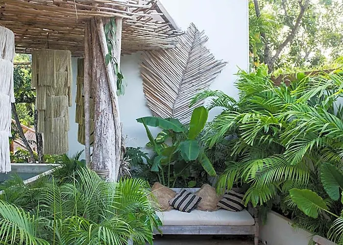 Hotel Orchid House Jungle 5*