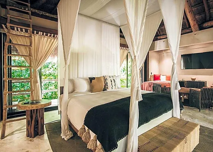 Hotel Orchid House Jungle 5*