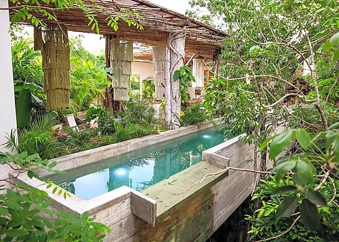 Hotel Orchid House Jungle