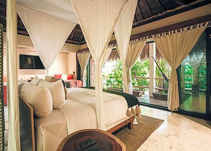 Hotel Orchid House Jungle