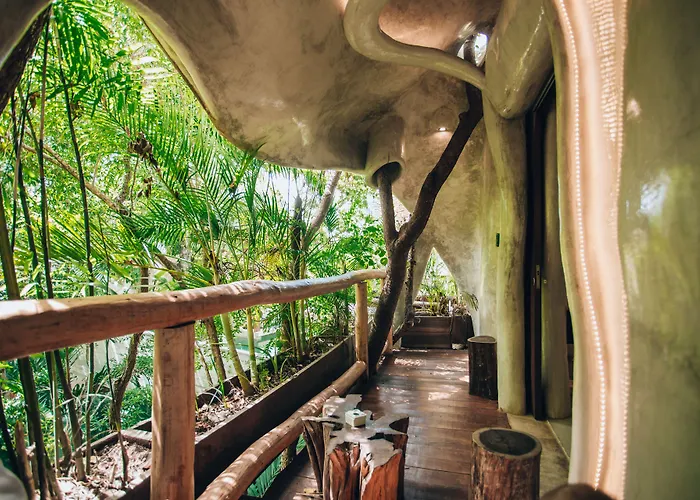Hotel Orchid House Jungle