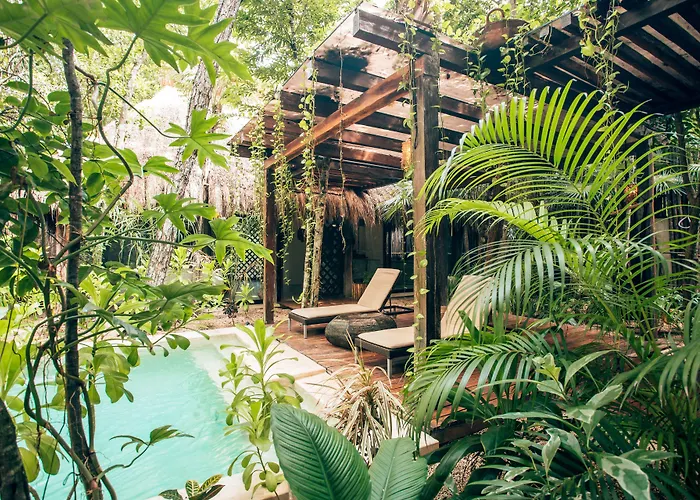 Orchid House Jungle