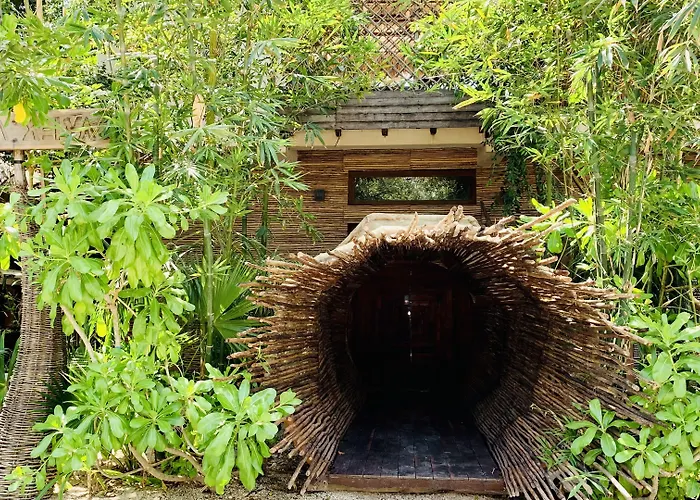 Orchid House Jungle 5*