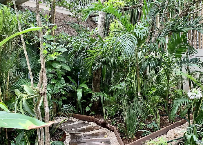 Orchid House Jungle 5*