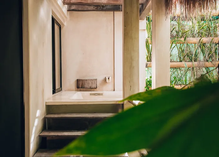 Orchid House Jungle Hotel