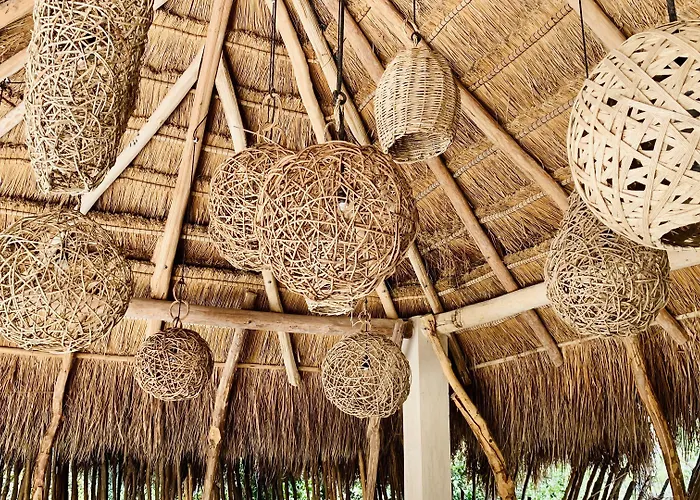 Hotel Orchid House Jungle 5*