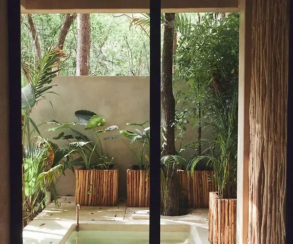 Hotel Orchid House Jungle Tulum Pueblo
