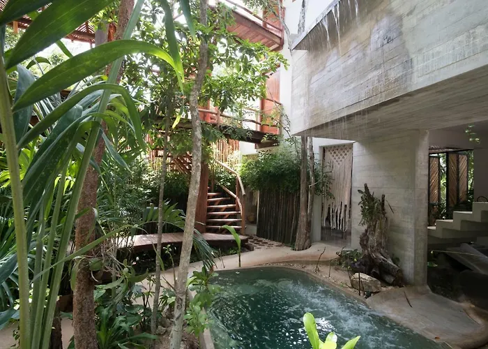 Orchid House Jungle